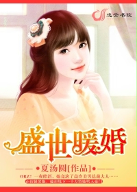 盛世暖婚最新章节列表,盛世暖婚全文阅读
