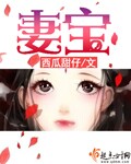 妻宝最新章节列表,妻宝全文阅读